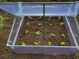 huerta en casa