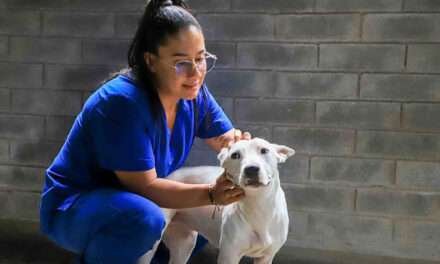 ‘Pandora’, la canina que busca un hogar en la jornada de adopción de animales