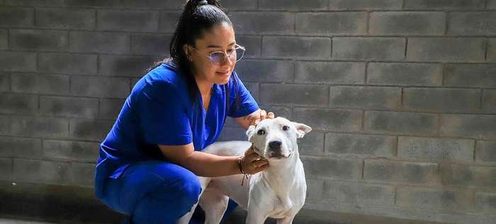 ‘Pandora’, la canina que busca un hogar en la jornada de adopción de animales