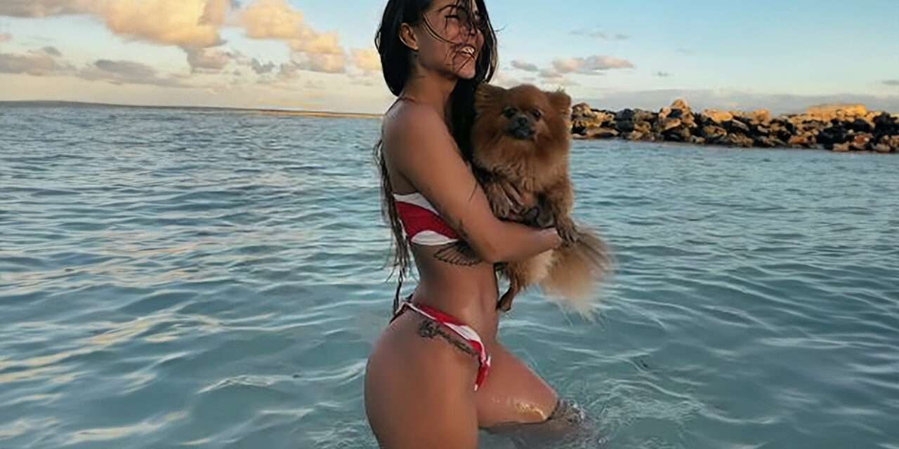 Los perros de los famosos colombianos