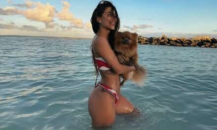 Los perros de los famosos colombianos