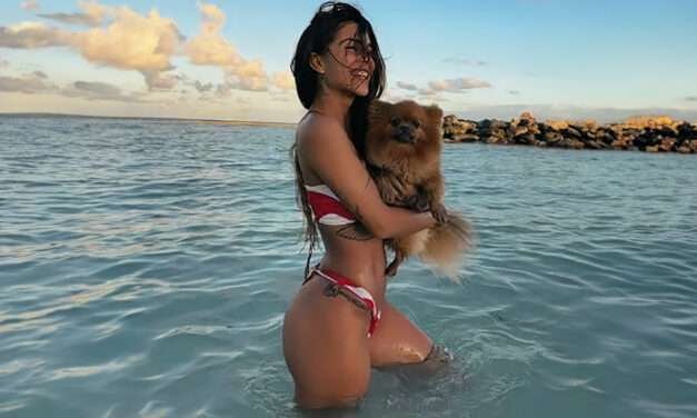 Los perros de los famosos colombianos