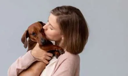 Salud y bienestar: El poder sanador de los animales
