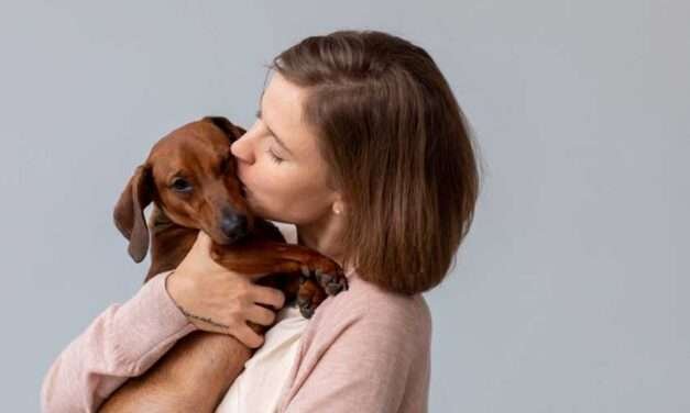 Salud y bienestar: El poder sanador de los animales