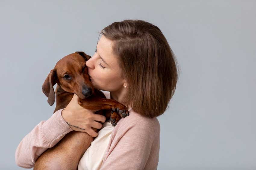 Salud y bienestar: El poder sanador de los animales